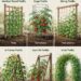 Garden Trellis Types