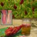 Sumac Tea Benefit