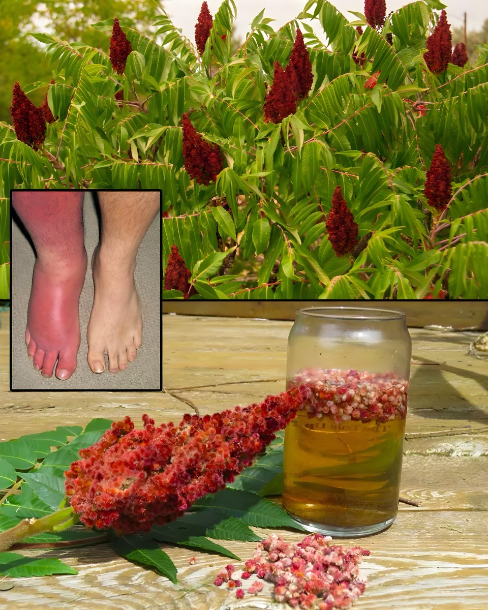 Sumac Tea Benefit