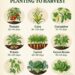 From Seed to Supper: Smart Gardening and Farm Care Strategies