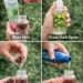 clove water for skin