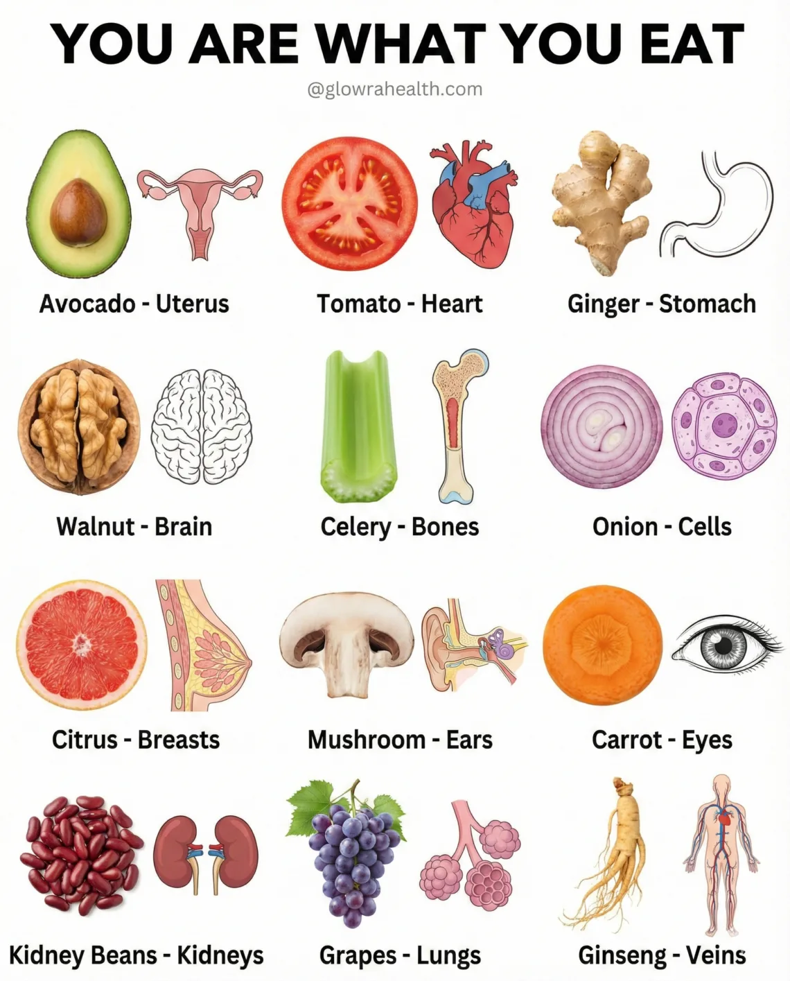 Foods That Support Your Health Organs