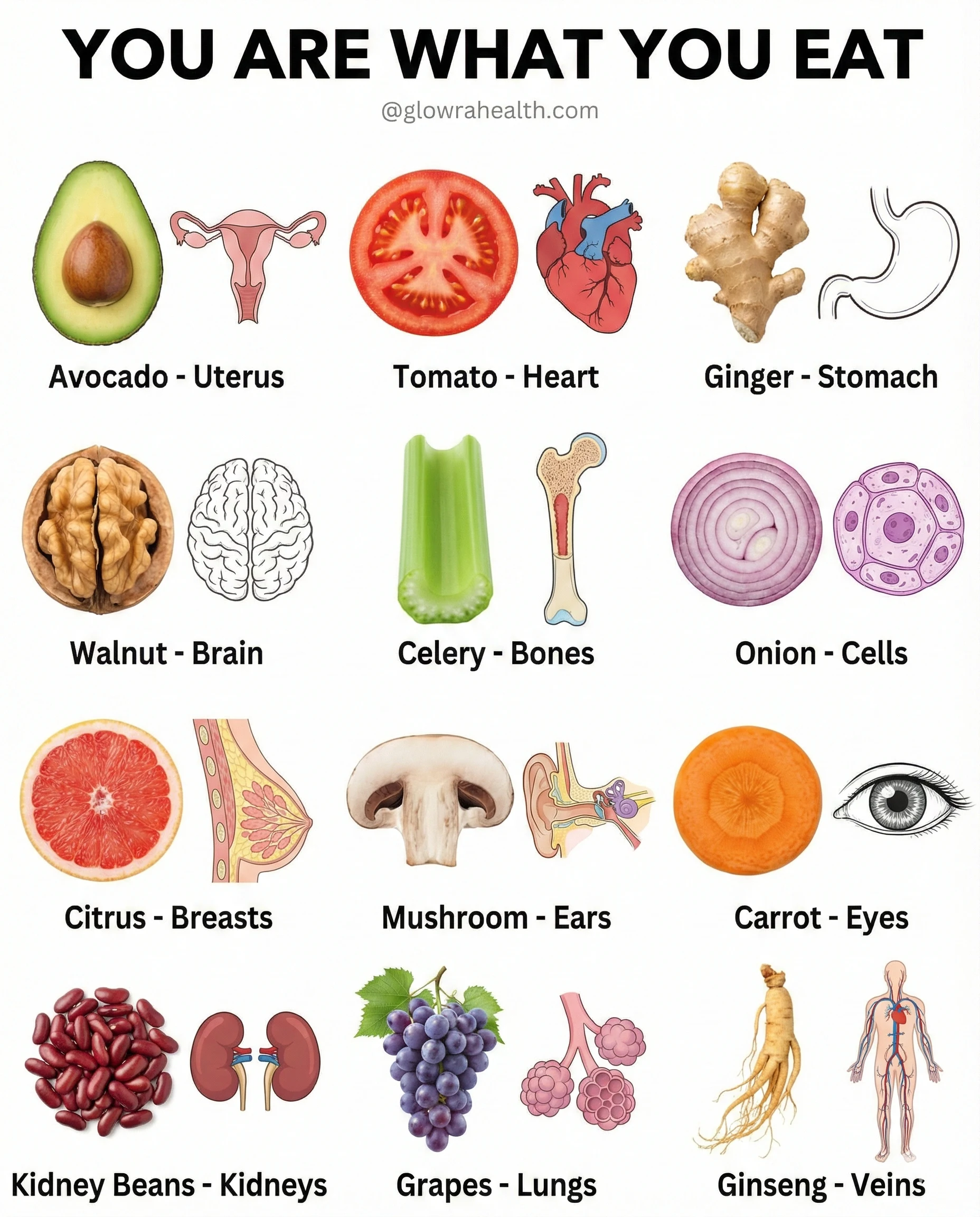 Foods That Support Your Health Organs