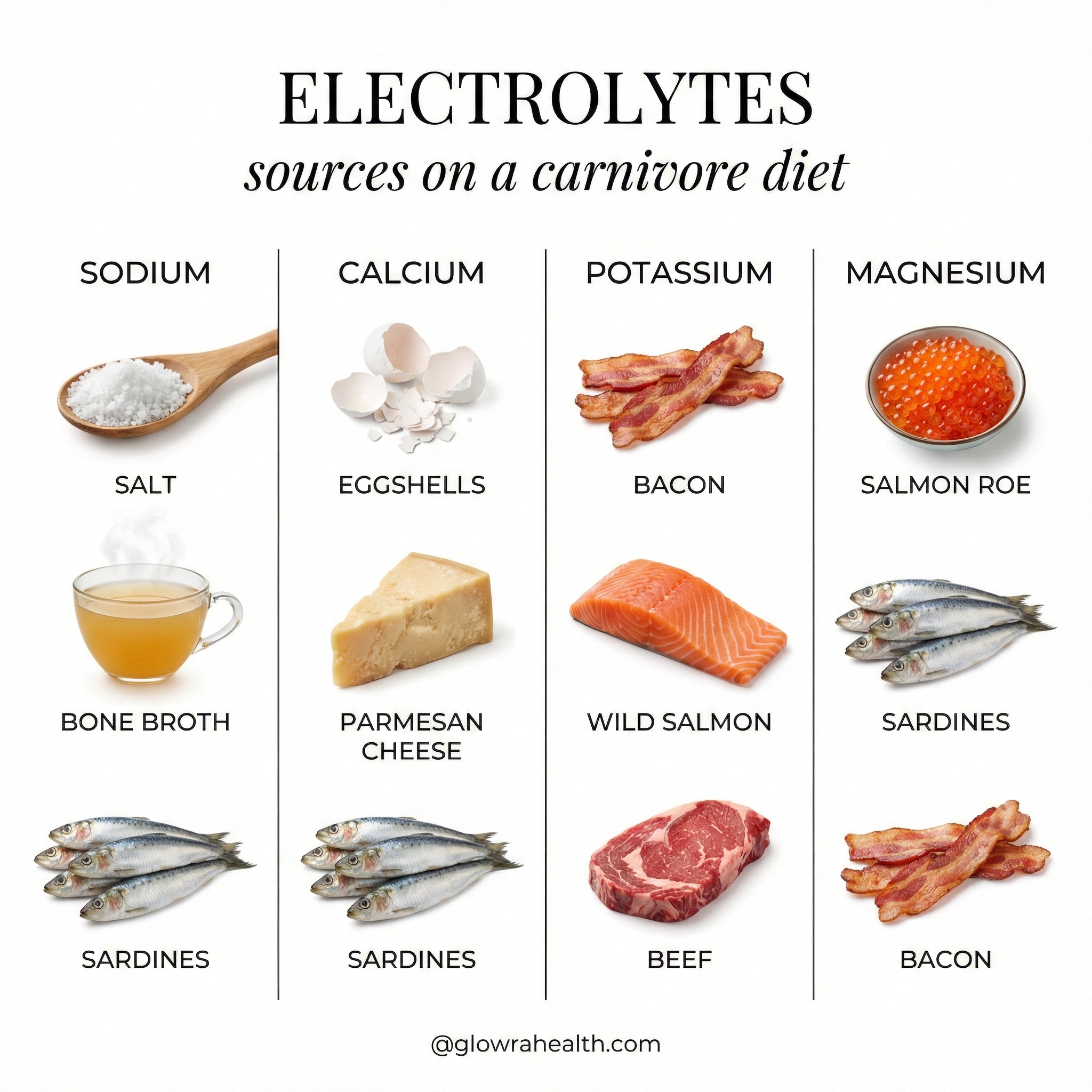 10 Carnivore Electrolyte Foods