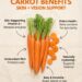 Carrot Benefits for Skin and Vision Support