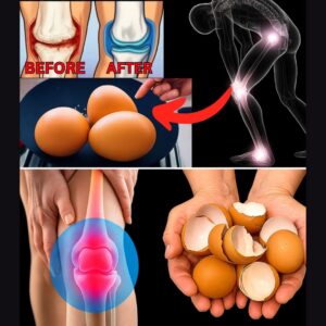 eggshell powder for joints made from clean eggshells