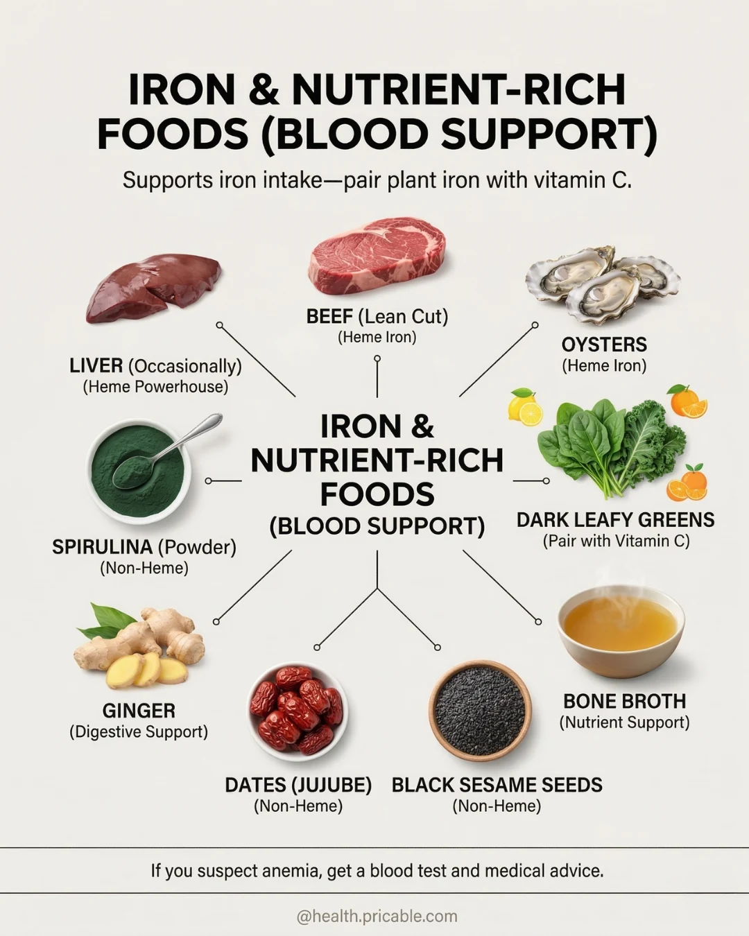 Iron-Rich Foods for Blood Support