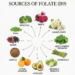 10 Folate Rich Foods to Support Energy, Red Blood Cells, and Healthy Cell Growth