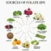 10 Folate Rich Foods to Support Energy, Red Blood Cells, and Healthy Cell Growth
