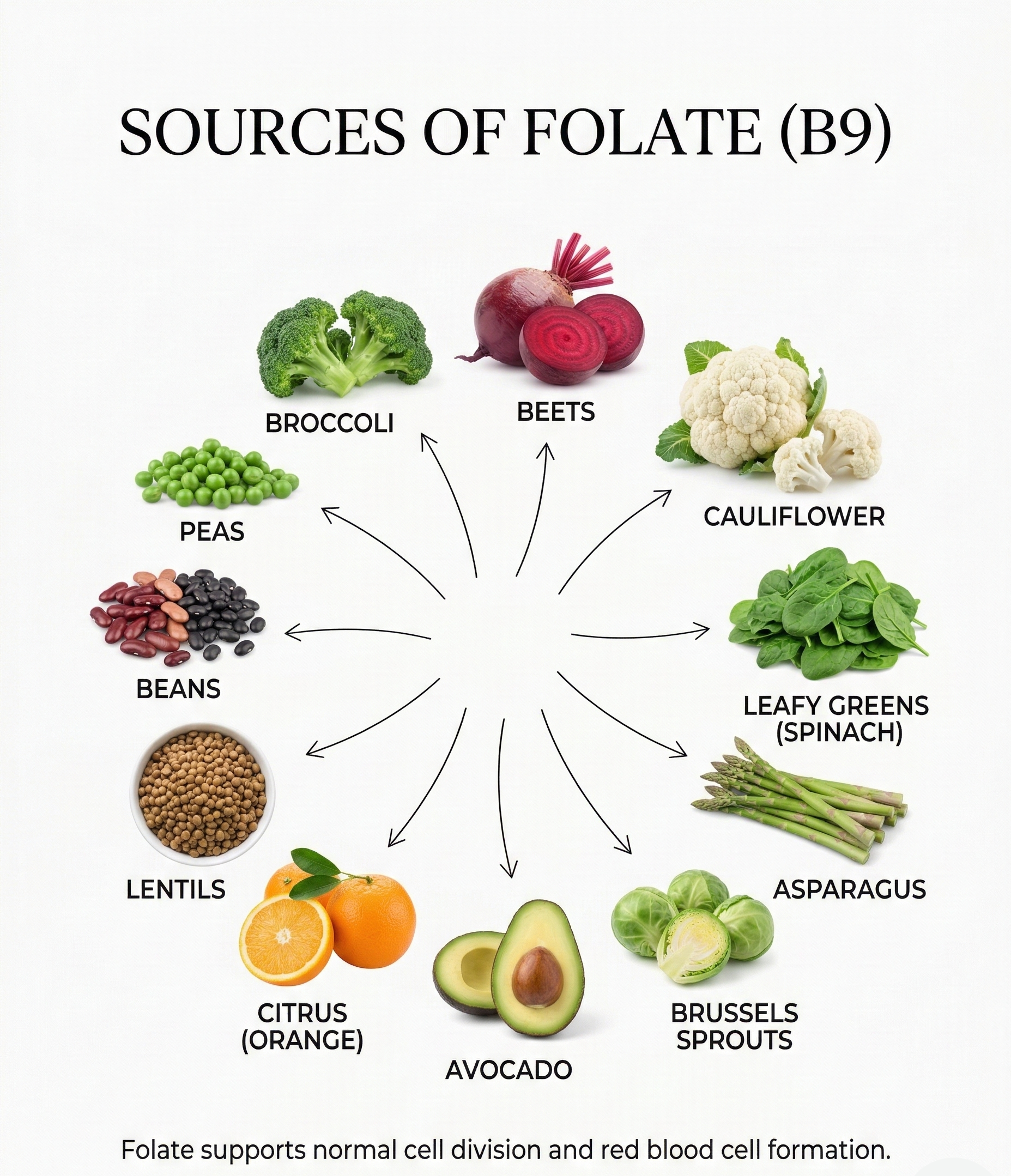 10 Folate Rich Foods to Support Energy, Red Blood Cells, and Healthy Cell Growth