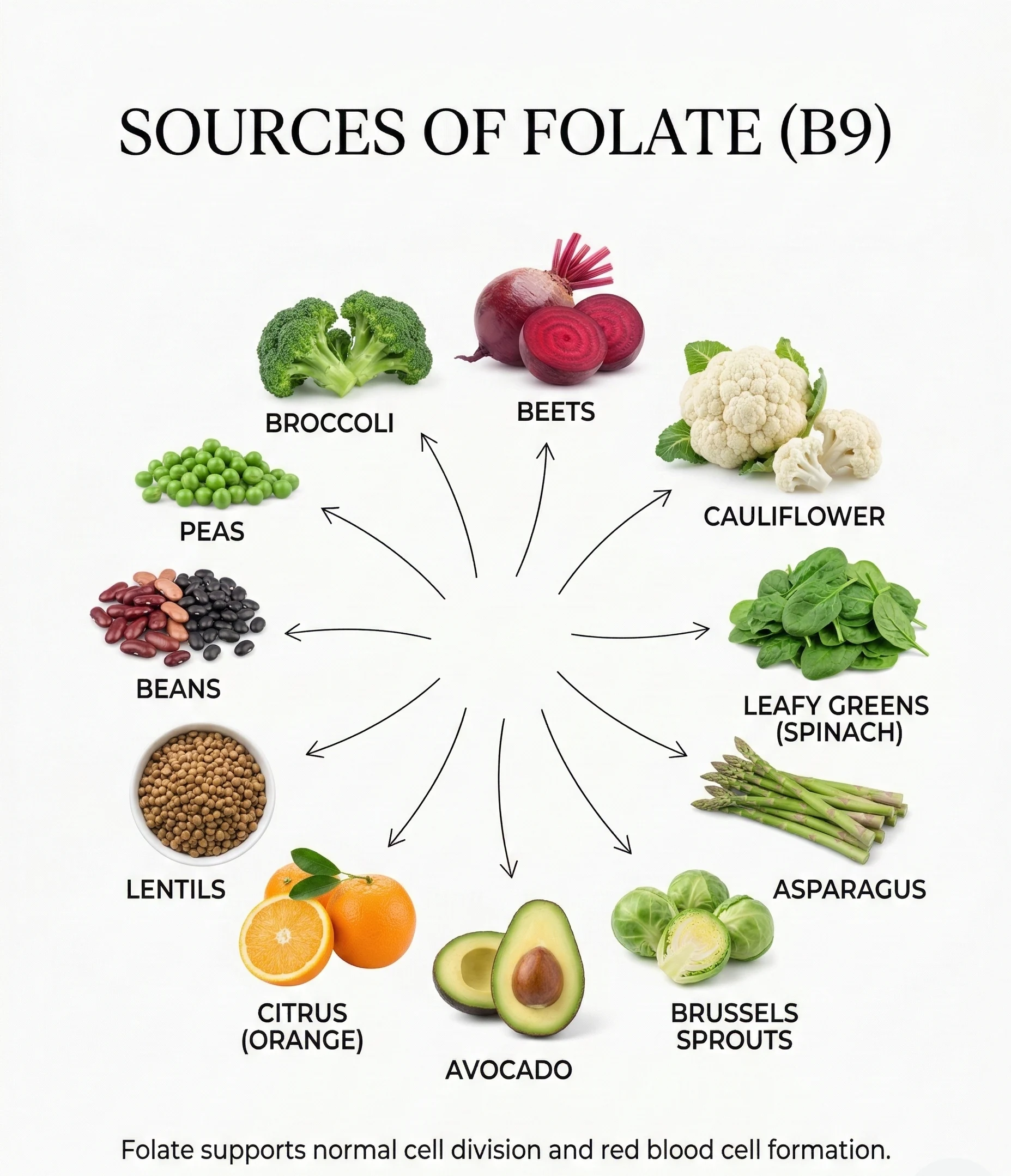 10 Folate Rich Foods to Support Energy, Red Blood Cells, and Healthy Cell Growth
