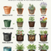 4 Container Types to the Crops