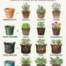 4 Container Types to the Crops