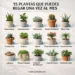 plants you can water once a month