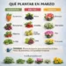 what to plant in March