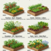 Companion Planting for Raised Beds: A Practical Guide to Healthier Gardens and Smarter Farm Care