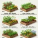 Companion Planting for Raised Beds: A Practical Guide to Healthier Gardens and Smarter Farm Care