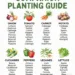 Companion Planting Guide: How Smart Plant Pairing Can Transform Your Garden