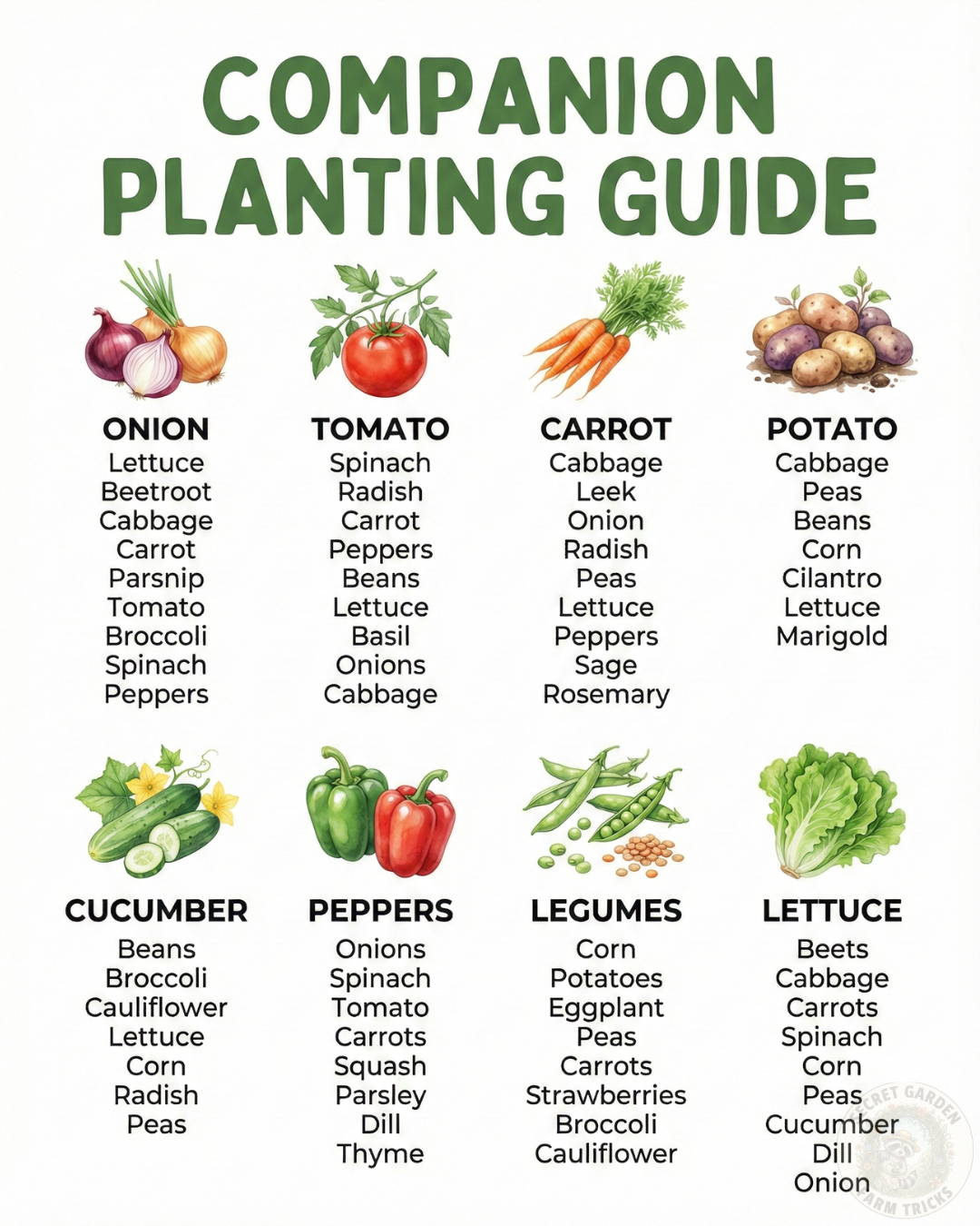 Companion Planting Guide: How Smart Plant Pairing Can Transform Your Garden