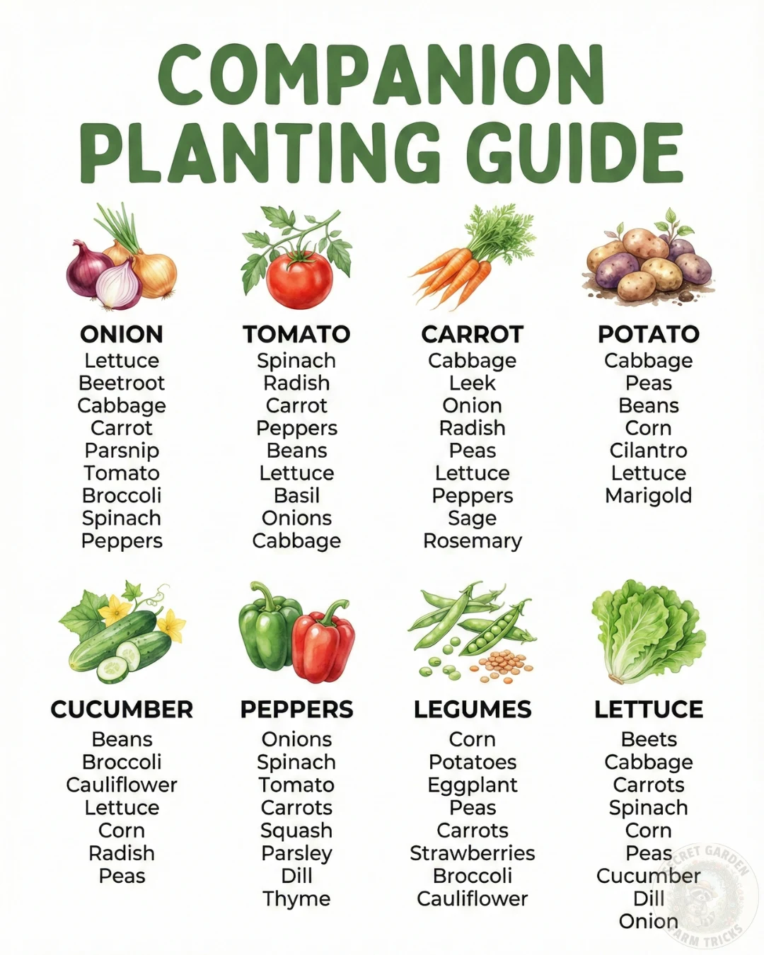Companion Planting Guide: How Smart Plant Pairing Can Transform Your Garden
