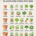 The Ultimate Guide to Container Gardening: Choosing the Right Plants for Every Pot Size