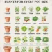 The Ultimate Guide to Container Gardening: Choosing the Right Plants for Every Pot Size