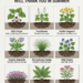 Add These 9 Plants Now Fireflies Will Thank You in Summer
