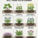 Add These 9 Plants Now Fireflies Will Thank You in Summer