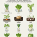 10+ Veggies That Are Worth Regrowing from Scraps