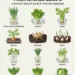 10+ Veggies That Are Worth Regrowing from Scraps