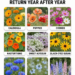 Self Seeding Flowers