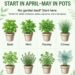 8 Herbs You Can Still Start in April–May in Pots