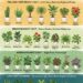 Houseplant Light Guide: How to Match Indoor Plants to the Right Light Level for Healthier Growth and Easier Plant Care