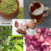 This Unexpected Herbal Tea Blend May Support Heart Health Gently