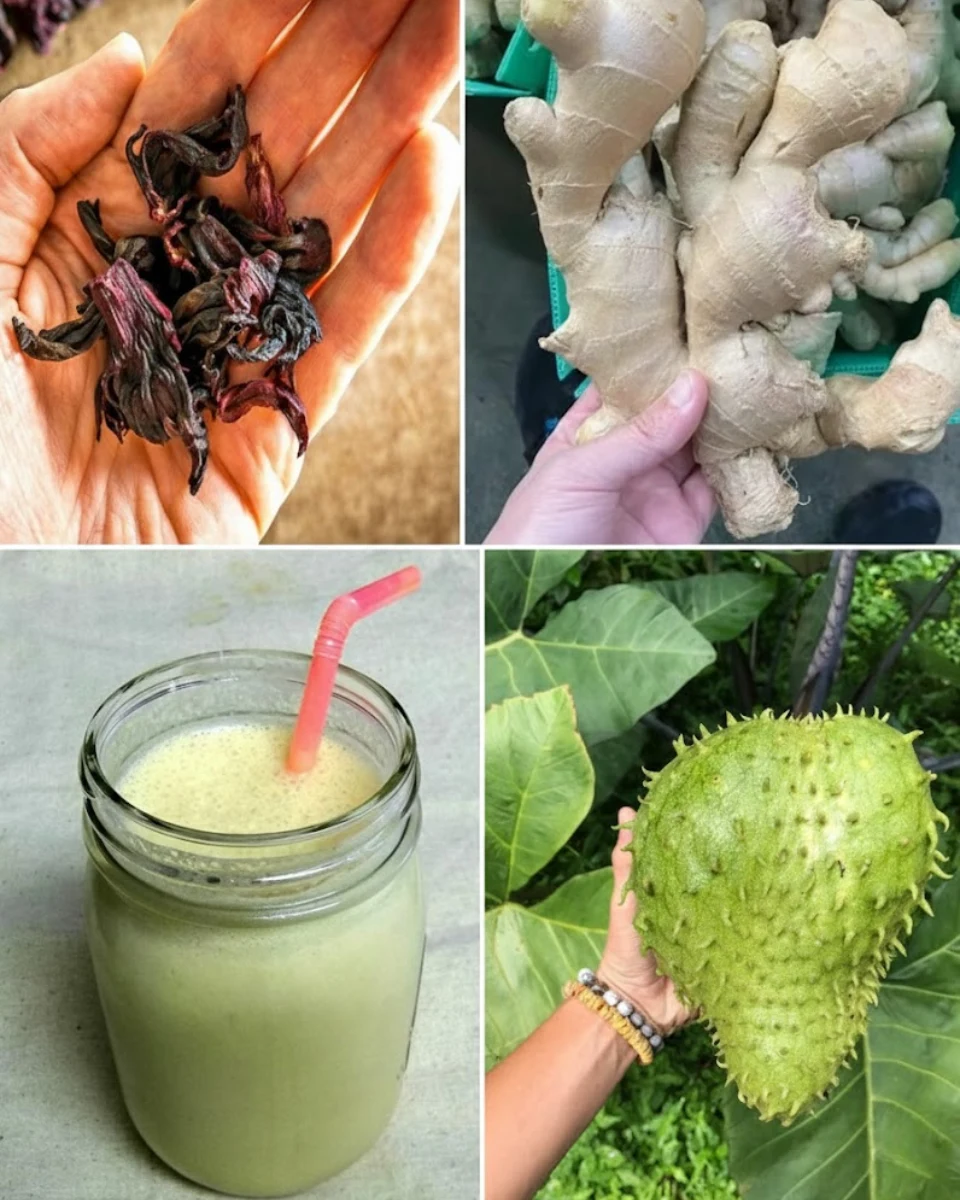 Hibiscus, Ginger, and Soursop Drink: A Gentle Herbal Remedy for Digestion and Daily Wellness