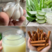 Garlic, Aloe Vera, and Cinnamon Drink: A Gentle Digestion Remedy You May Wish You Knew Sooner