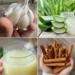Garlic, Aloe Vera, and Cinnamon Drink: A Gentle Digestion Remedy You May Wish You Knew Sooner
