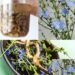 Chicory Root Tea for Digestion: The Bitter Herbal Remedy That May Help More Than You Expect
