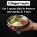 homemade collagen powder