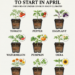 Vegetables and Herbs to Start in April