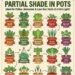 20 Best Vegetables for Partial Shade in Pots: