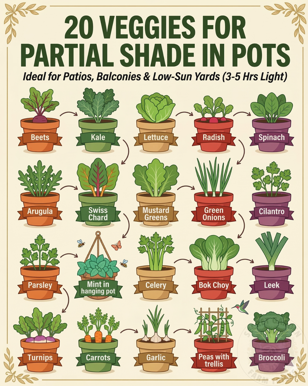 20 Best Vegetables for Partial Shade in Pots: