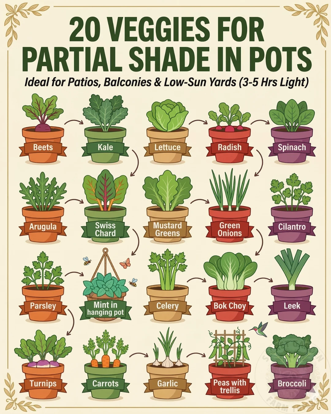 20 Best Vegetables for Partial Shade in Pots: