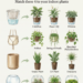 Wrong Pot, Wasted Houseplants