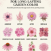 12 Pink Perennials for Long-Lasting Garden Color