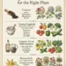 The Right Natural Amendment for the Right Plant