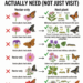 6 Butterfly Host Plants That Truly Support the Full Life Cycle: Go Beyond Nectar and Build a Real Butterfly Garden