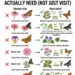 6 Butterfly Host Plants That Truly Support the Full Life Cycle: Go Beyond Nectar and Build a Real Butterfly Garden
