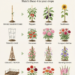 Wrong Stake, Wasted Stems: The Complete Guide to Trellises and Plant Supports for a Healthier, More Productive Garden