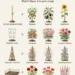 Wrong Stake, Wasted Stems: The Complete Guide to Trellises and Plant Supports for a Healthier, More Productive Garden